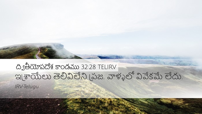 ద్వితీయోపదేశ కాండము 32:28 TELIRV Bible Verse Image