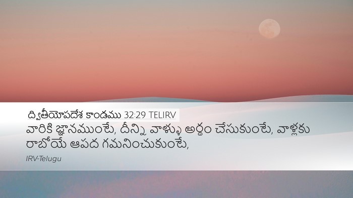 ద్వితీయోపదేశ కాండము 32:29 TELIRV Bible Verse Image