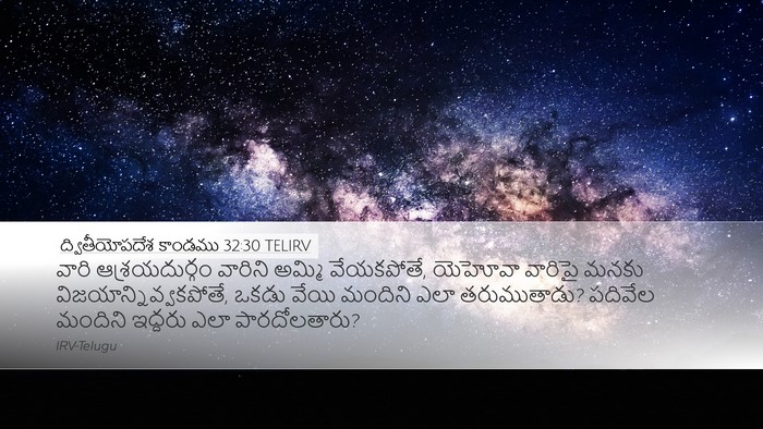 ద్వితీయోపదేశ కాండము 32:30 TELIRV Bible Verse Image