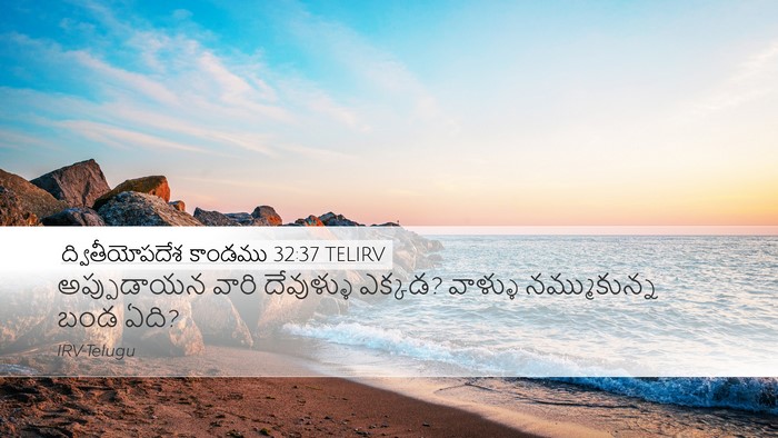 ద్వితీయోపదేశ కాండము 32:37 TELIRV Bible Verse Image