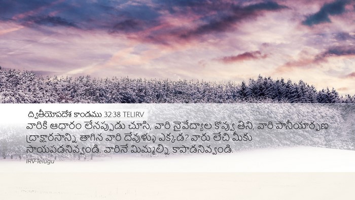 ద్వితీయోపదేశ కాండము 32:38 TELIRV Bible Verse Image