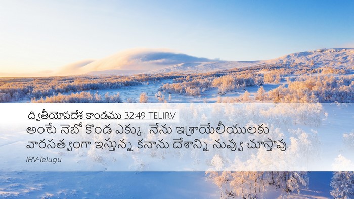 ద్వితీయోపదేశ కాండము 32:49 TELIRV Bible Verse Image