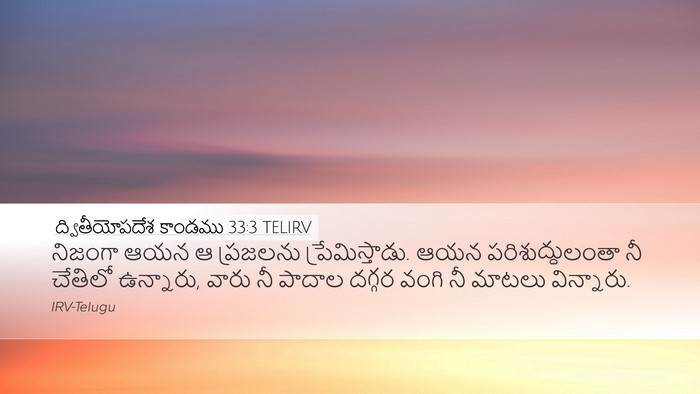 ద్వితీయోపదేశ కాండము 33:3 TELIRV Bible Verse Image