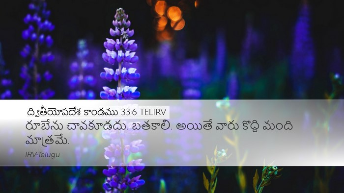 ద్వితీయోపదేశ కాండము 33:6 TELIRV Desktop Wallpaper - రూబేను చావకూడదు. - Desktop Bible Verse Wallpaper