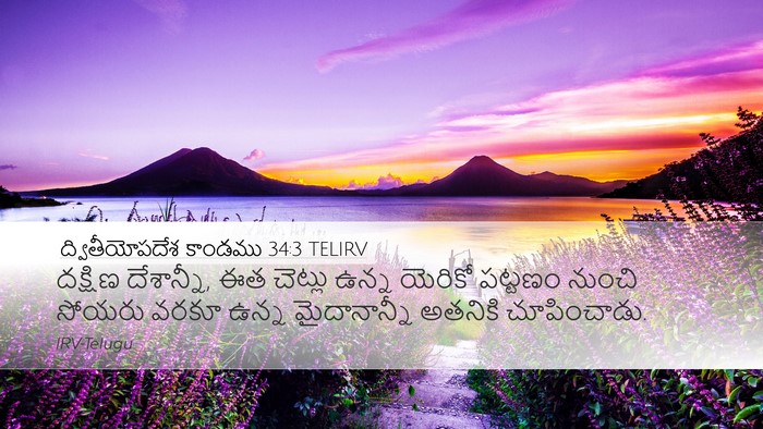 ద్వితీయోపదేశ కాండము 34:3 TELIRV Bible Verse Image