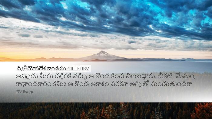 ద్వితీయోపదేశ కాండము 4:11 TELIRV Bible Verse Image