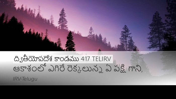ద్వితీయోపదేశ కాండము 4:17 TELIRV Desktop Wallpaper - ఆకాశంలో ఎగిరే - Desktop Bible Verse Wallpaper