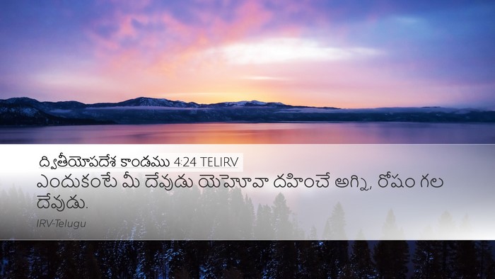 ద్వితీయోపదేశ కాండము 4:24 TELIRV Bible Verse Image