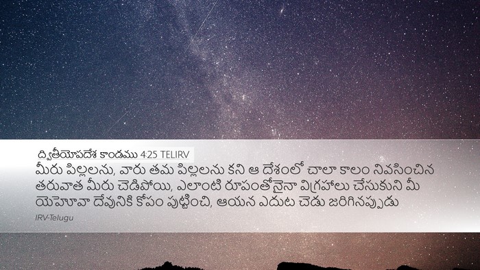 ద్వితీయోపదేశ కాండము 4:25 TELIRV Bible Verse Image