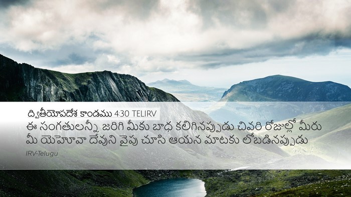 ద్వితీయోపదేశ కాండము 4:30 TELIRV Bible Verse Image