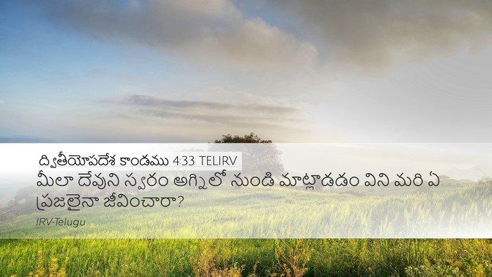 ద్వితీయోపదేశ కాండము 4:33 TELIRV Bible Verse Image
