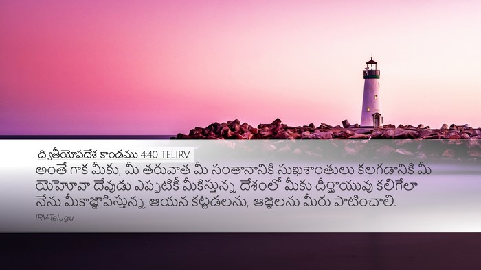 ద్వితీయోపదేశ కాండము 4:40 TELIRV Bible Verse Image