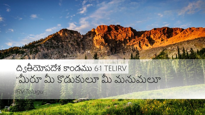ద్వితీయోపదేశ కాండము 6:1 TELIRV Bible Verse Image