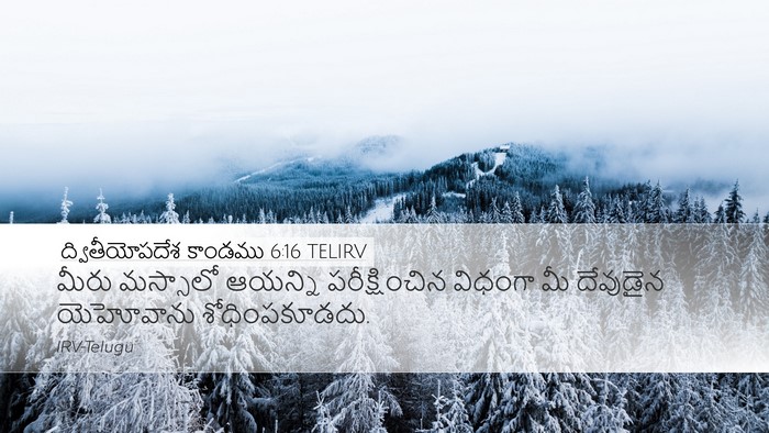 ద్వితీయోపదేశ కాండము 6:16 TELIRV Bible Verse Image