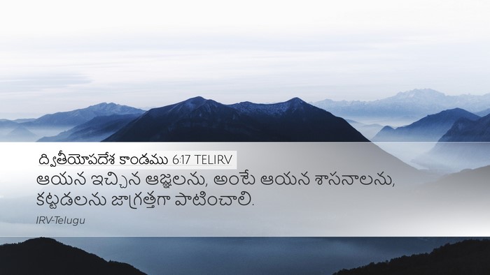 ద్వితీయోపదేశ కాండము 6:17 TELIRV Bible Verse Image