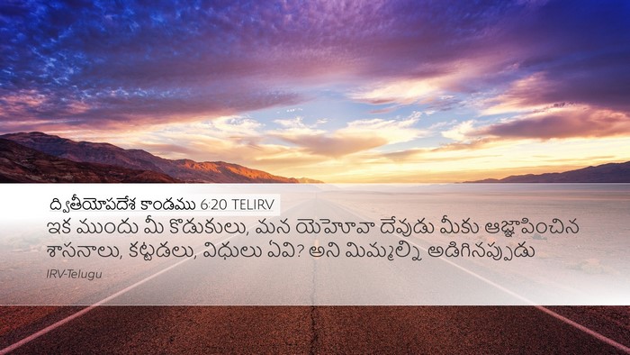 ద్వితీయోపదేశ కాండము 6:20 TELIRV Bible Verse Image