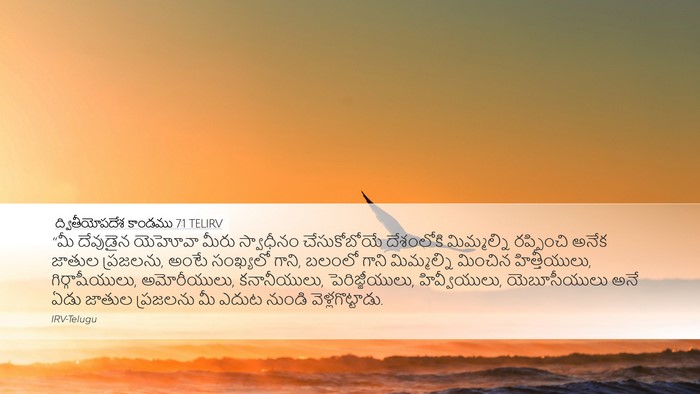 ద్వితీయోపదేశ కాండము 7:1 TELIRV Bible Verse Image