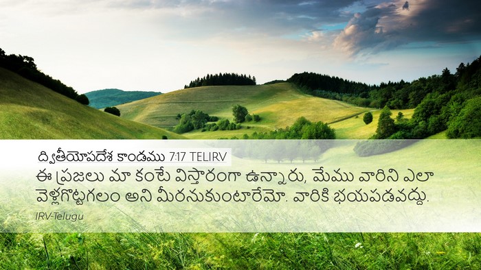 ద్వితీయోపదేశ కాండము 7:17 TELIRV Bible Verse Image