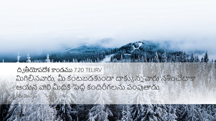 ద్వితీయోపదేశ కాండము 7:20 TELIRV Desktop Wallpaper - మిగిలినవారు, మీ - Desktop Bible Verse Wallpaper