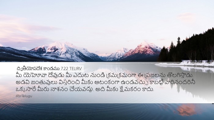 ద్వితీయోపదేశ కాండము 7:22 TELIRV Bible Verse Image