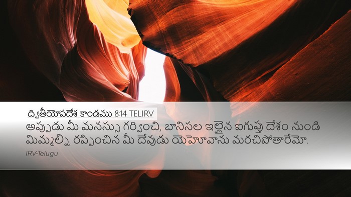 ద్వితీయోపదేశ కాండము 8:14 TELIRV Bible Verse Image