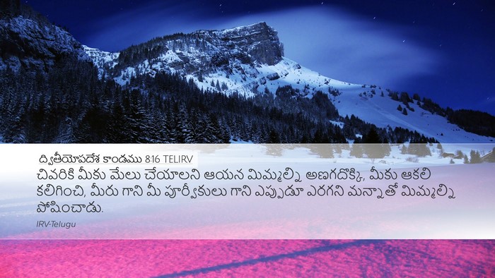 ద్వితీయోపదేశ కాండము 8:16 TELIRV Bible Verse Image