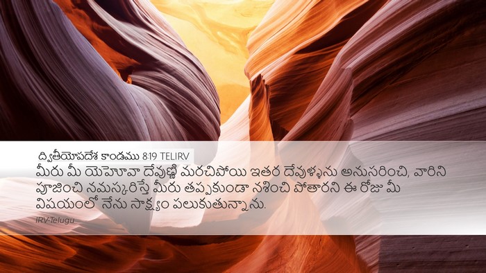 ద్వితీయోపదేశ కాండము 8:19 TELIRV Bible Verse Image