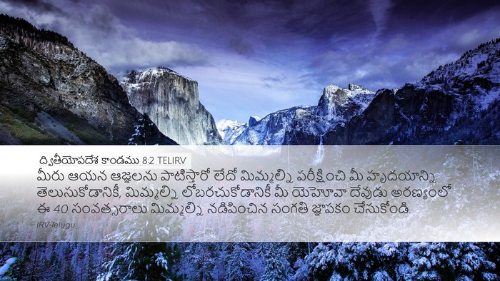 ద్వితీయోపదేశ కాండము 8:2 TELIRV Bible Verse Image