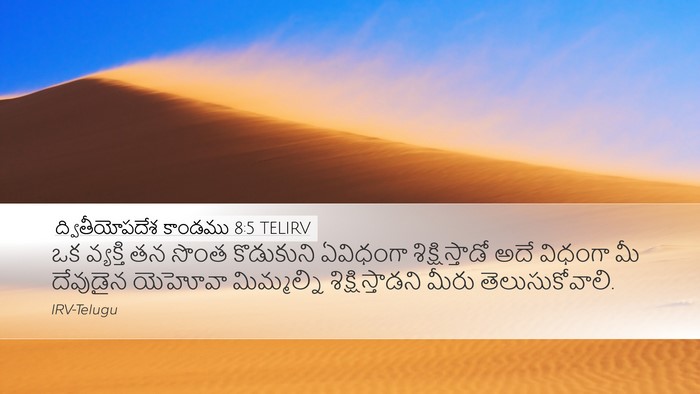 ద్వితీయోపదేశ కాండము 8:5 TELIRV Bible Verse Image