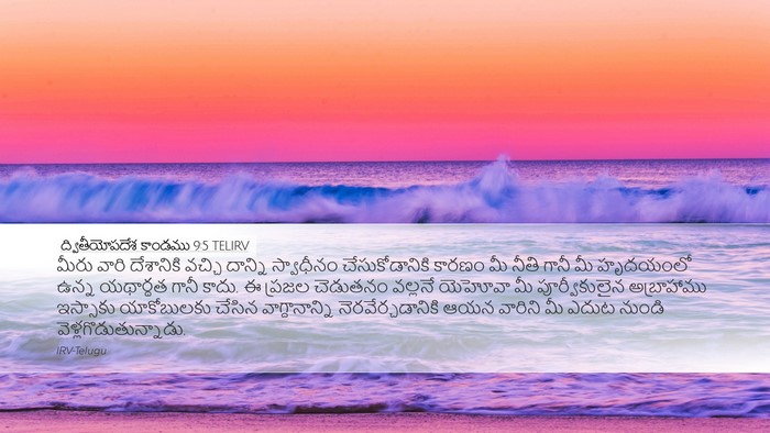 ద్వితీయోపదేశ కాండము 9:5 TELIRV Bible Verse Image