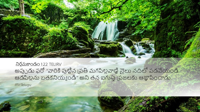 నిర్గమకాండం 1:22 TELIRV Bible Verse Image