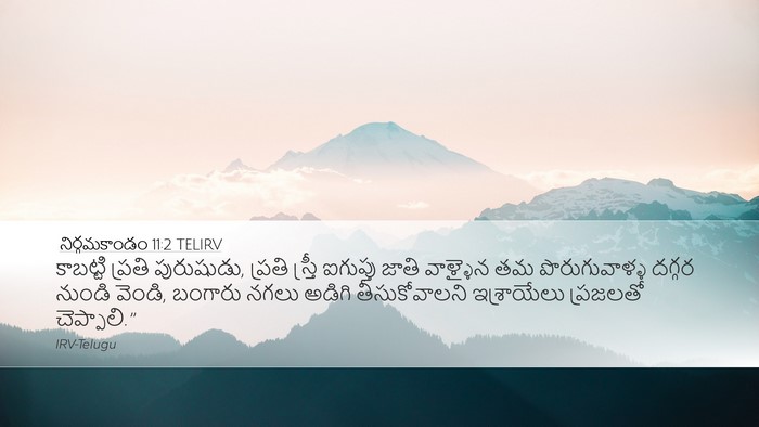నిర్గమకాండం 11:2 TELIRV Bible Verse Image