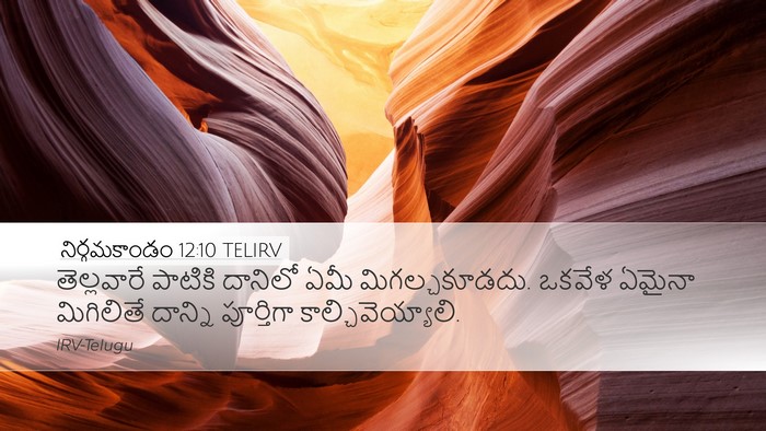 నిర్గమకాండం 12:10 TELIRV Bible Verse Image