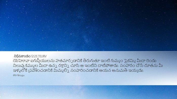 నిర్గమకాండం 12:23 TELIRV Bible Verse Image