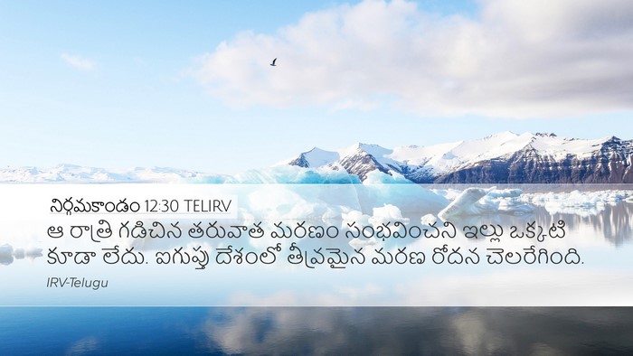నిర్గమకాండం 12:30 TELIRV Bible Verse Image