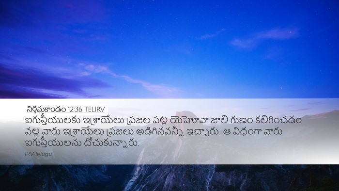 నిర్గమకాండం 12:36 TELIRV Bible Verse Image