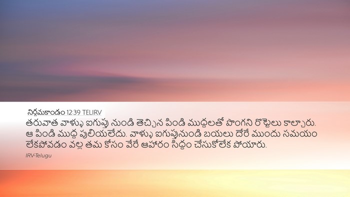 నిర్గమకాండం 12:39 TELIRV Bible Verse Image