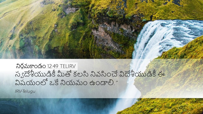 నిర్గమకాండం 12:49 TELIRV Bible Verse Image