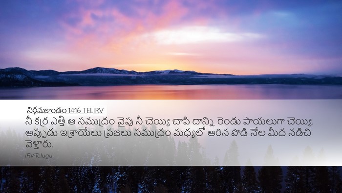 నిర్గమకాండం 14:16 TELIRV Bible Verse Image