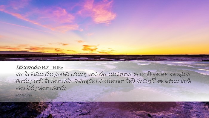 నిర్గమకాండం 14:21 TELIRV Bible Verse Image