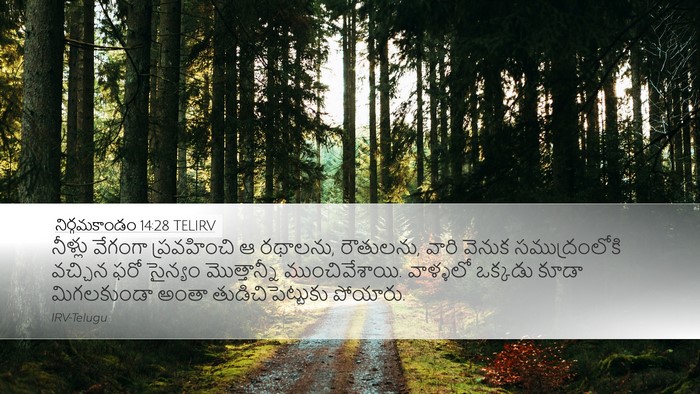 నిర్గమకాండం 14:28 TELIRV Bible Verse Image