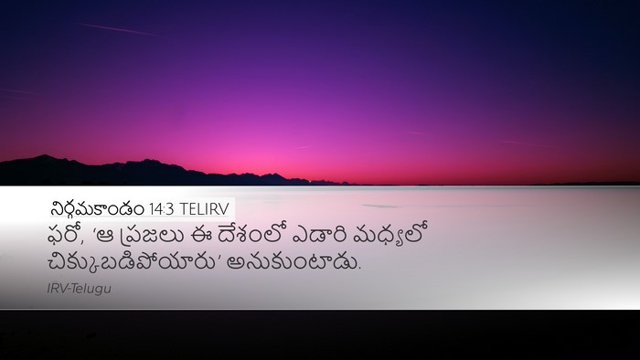 నిర్గమకాండం 14:3 TELIRV Bible Verse Image