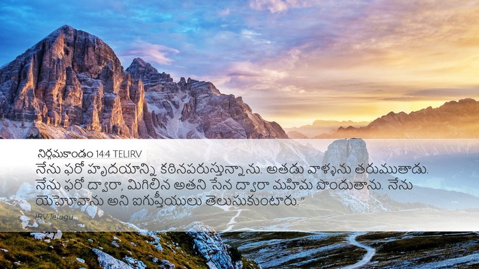 నిర్గమకాండం 14:4 TELIRV Bible Verse Image