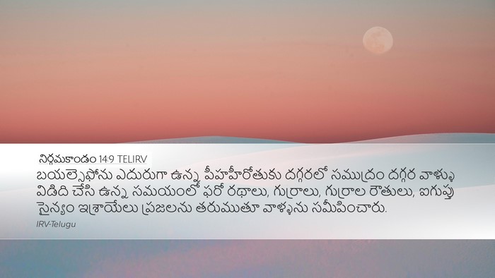 నిర్గమకాండం 14:9 TELIRV Bible Verse Image