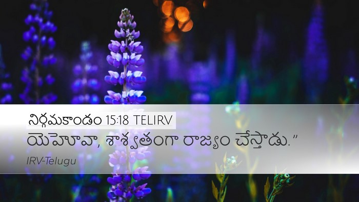 నిర్గమకాండం 15:18 TELIRV Bible Verse Image