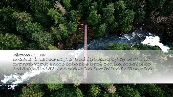 నిర్గమకాండం 16:23 TELIRV Bible Verse Image