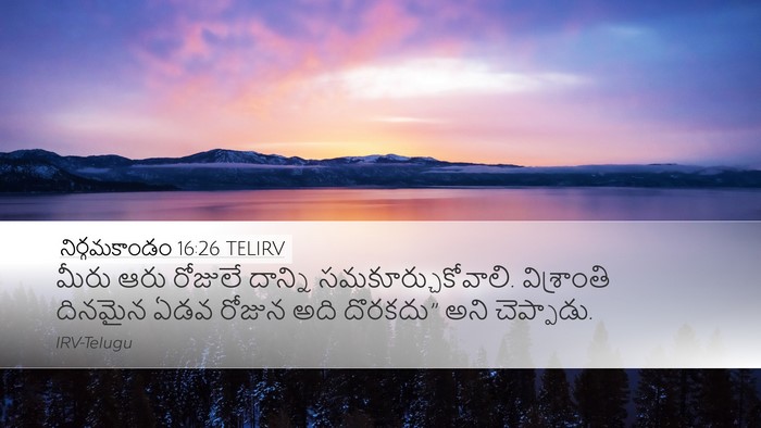 నిర్గమకాండం 16:26 TELIRV Desktop Wallpaper - మీరు ఆరు రోజులే - Desktop Bible Verse Wallpaper