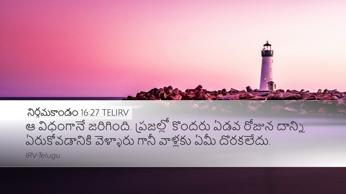 నిర్గమకాండం 16:27 TELIRV Bible Verse Image