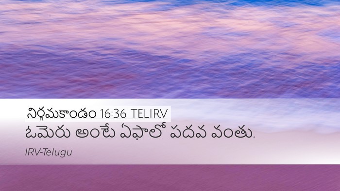 నిర్గమకాండం 16:36 TELIRV Bible Verse Image