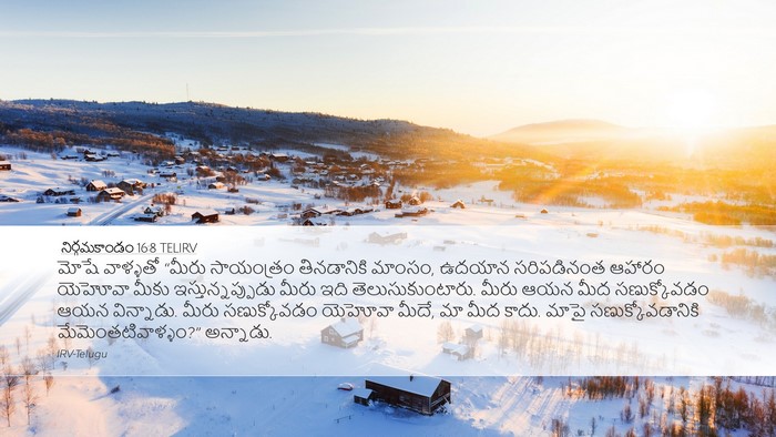 నిర్గమకాండం 16:8 TELIRV Bible Verse Image